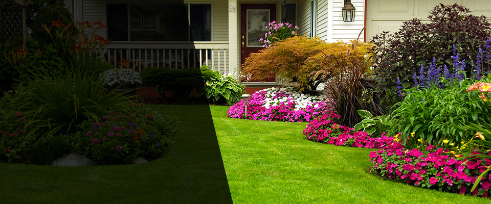 Palos Hills Landscapers
