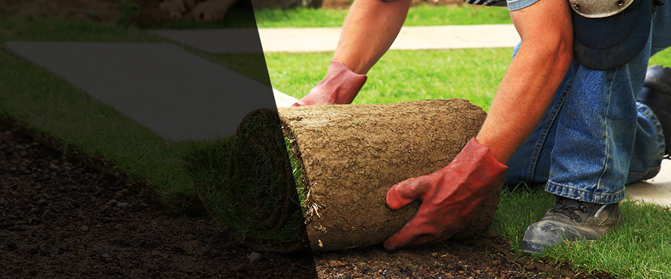 Palos Hills Landscapers